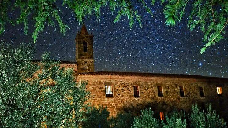 Monasterio de el Olivar