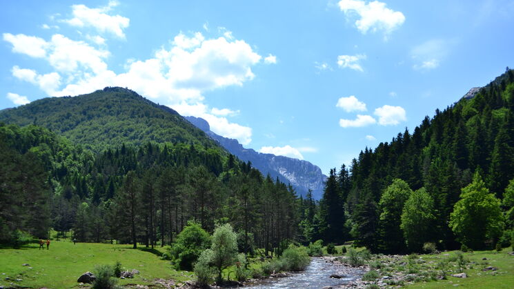 Huesca 