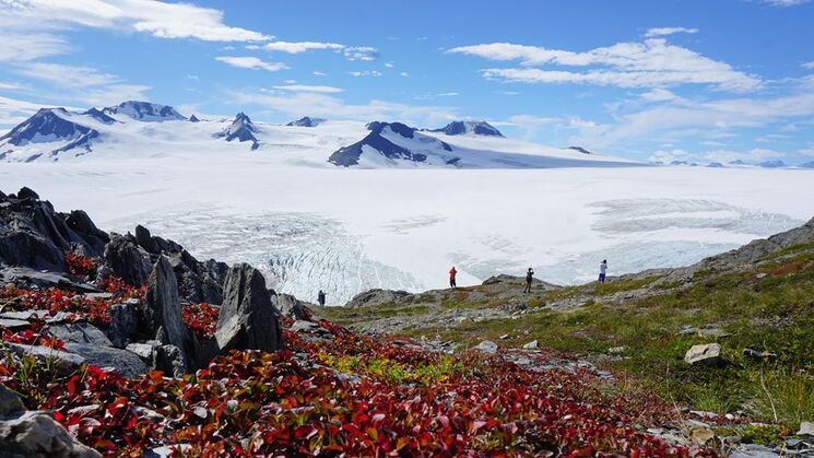 PN Fiordos de Kenai Alaska