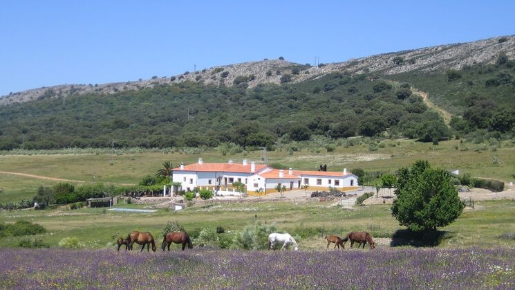 Palacio Viejo de las Corchuelas portada