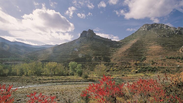 Reserva de la biosfera Leza Jubera