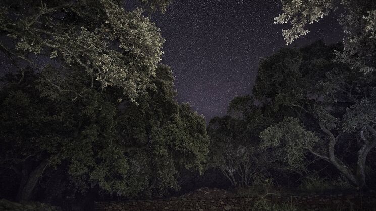 senderos nocturnos extremadura