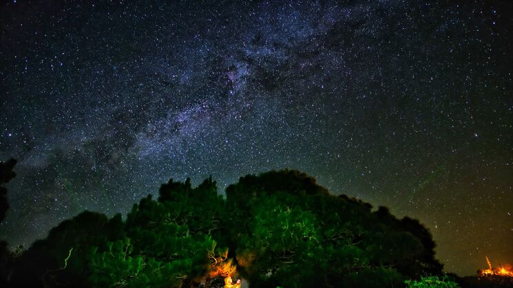 Encuentro Starlight La Palma 2