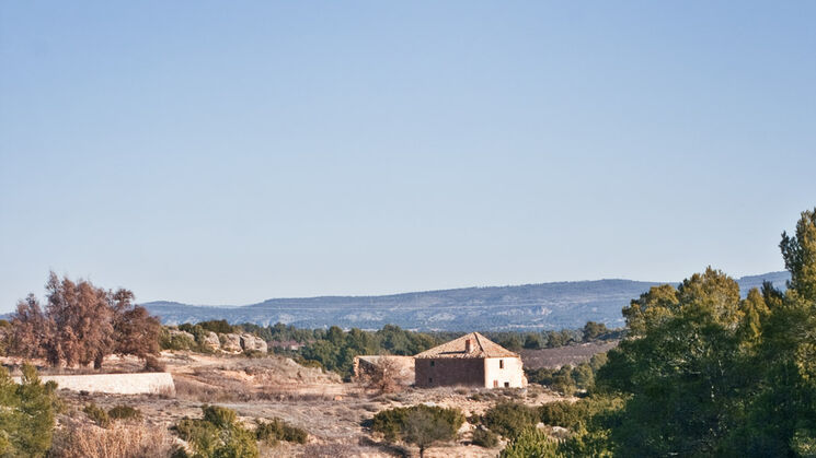 La Manchuela Albacete