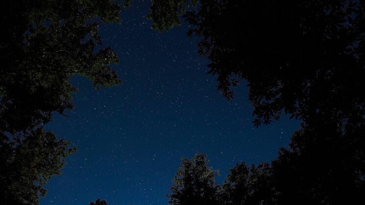 cielo nocturno