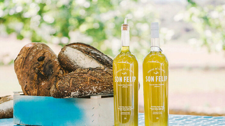 Son Felip finca orgnica 