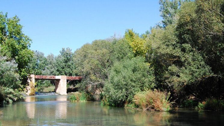 Mancha Jcar centro