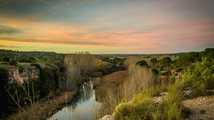 Mancha Jcar centro