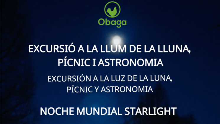 noche mundial starlight 2024