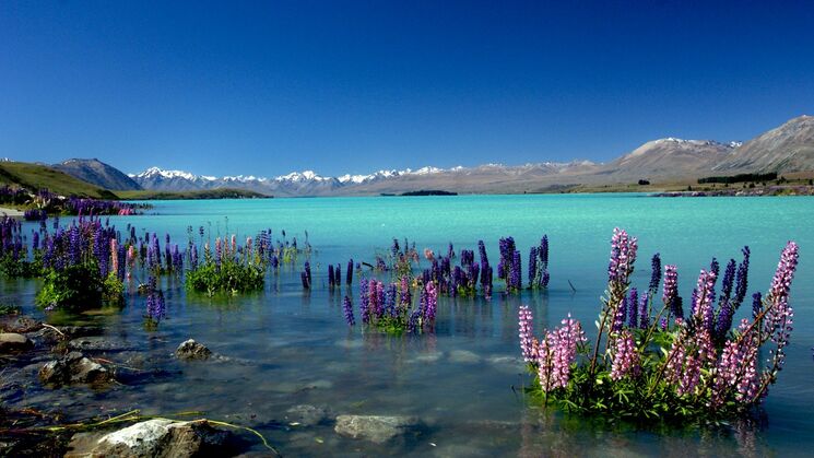 lago tekapo nueva zelanda