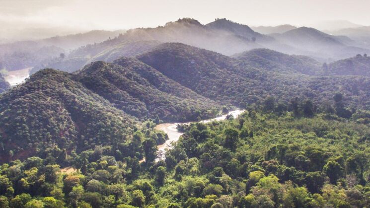 Parque Nacional Cat Tien Vietnam