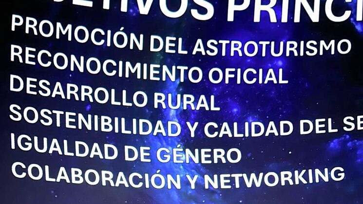 aneea empresas