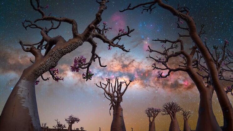 Milky Way Photographer of the Year 2025