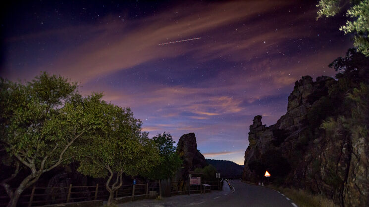 Monfrage 2025 aves y estrellas