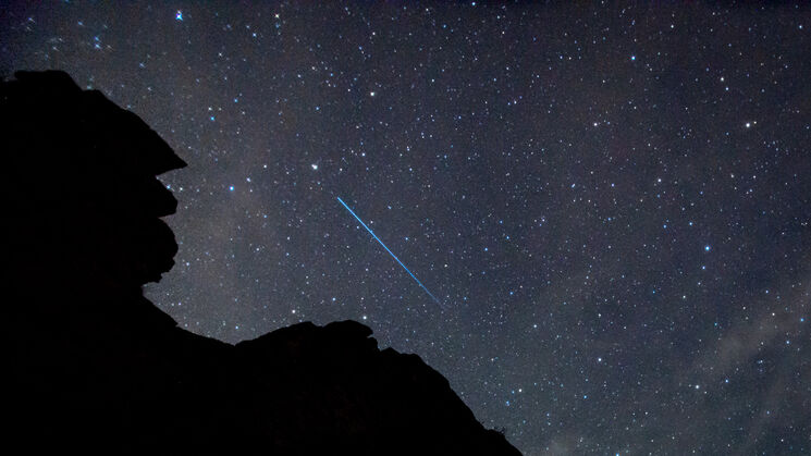 Monfrage 2025 aves y estrellas
