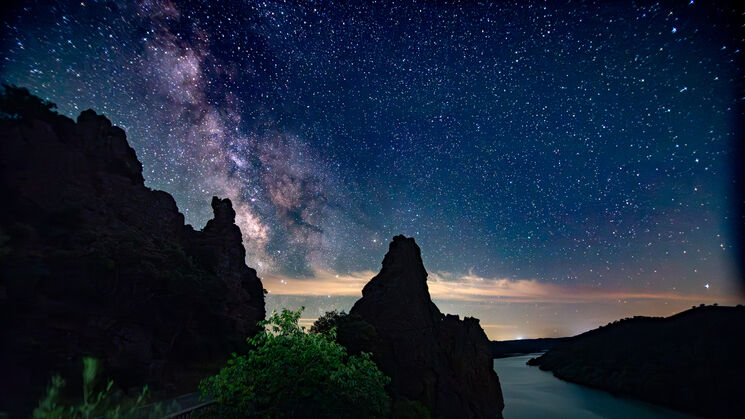 Monfrage 2025 aves y estrellas