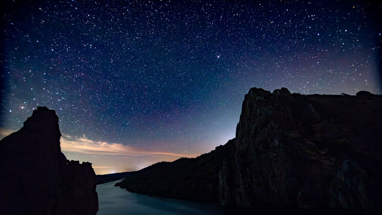 Monfrage 2025 aves y estrellas