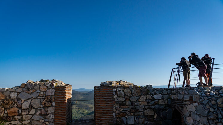 Monfrage 2025 aves y estrellas