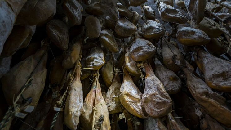 Extremadura astroturismo y gastronomia