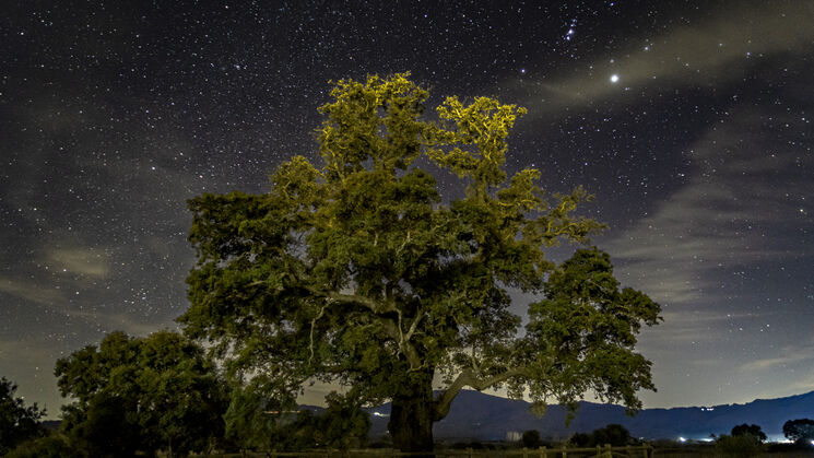 Extremadura astroturismo y gastronomia