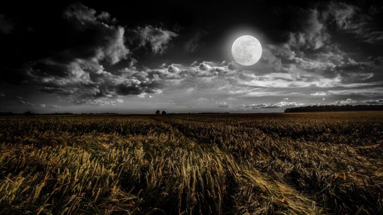 luna cosecha