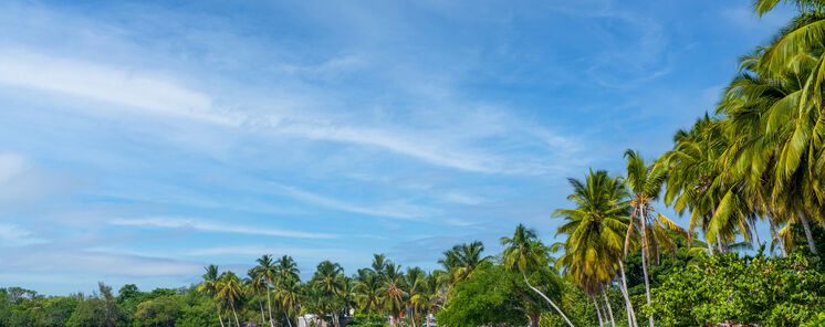 Astroturismo en Cuba estrellas y tortugas en la Cinaga de Zapata