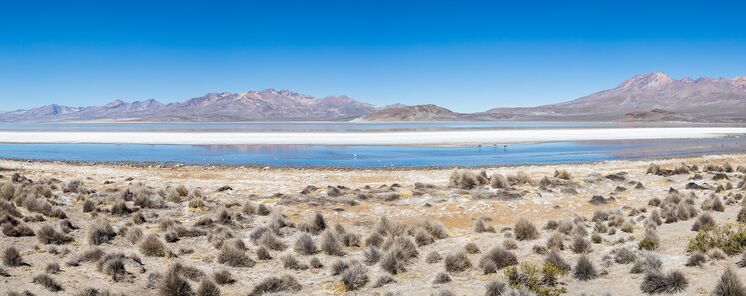 Salinas y Aguada Blanca el cielo andino de Per que conquista a los astrocuriosos