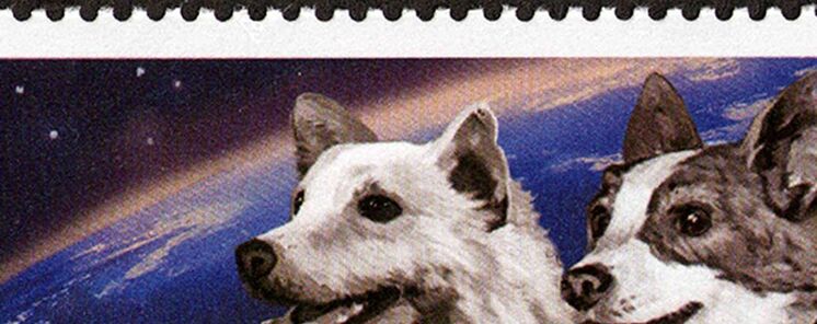 Belka y Strelka las dos perritas que viajaron al espacio y regresaron para contarlo