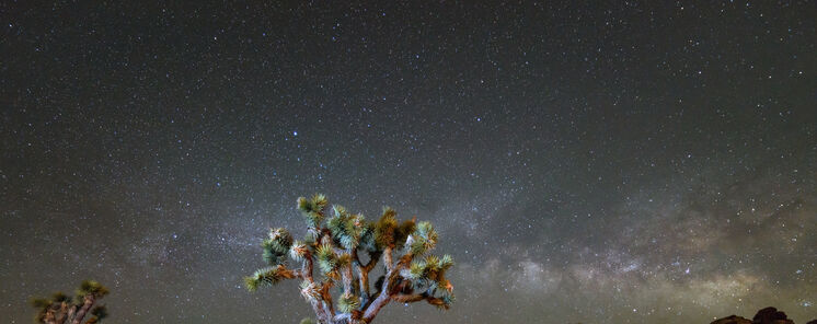 Por qu todos mirarn al cielo de Joshua Tree este fin de semana