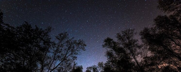 Bosque de Galloway Un Refugio para los Amantes del Astroturismo en Escocia