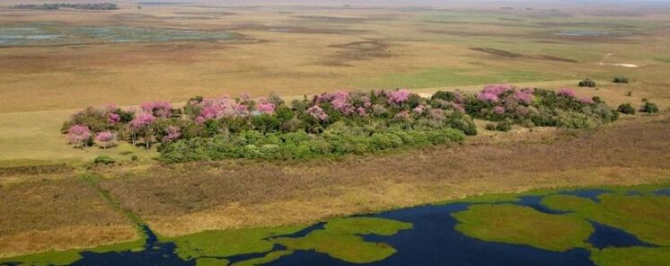 El destino de astroturismo en Argentina Parque del Iber reabre tras los incendios