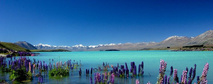 Estrellas en el lago Tekapo de Nueva Zelanda