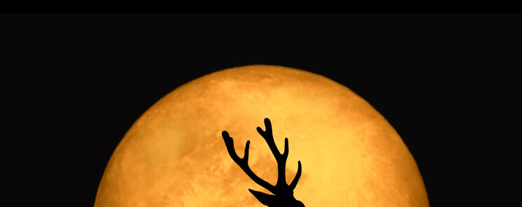 La superluna ms cercana de 2022 es hoy