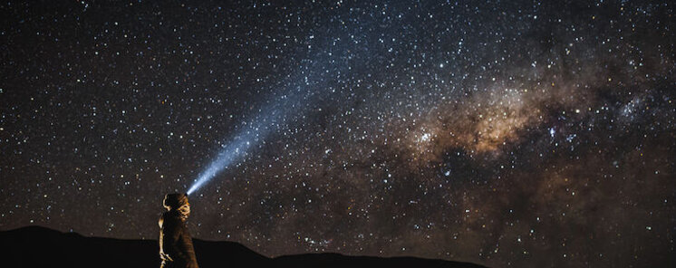 Pica la flor en la arena de Chile crece mirando a las estrellas