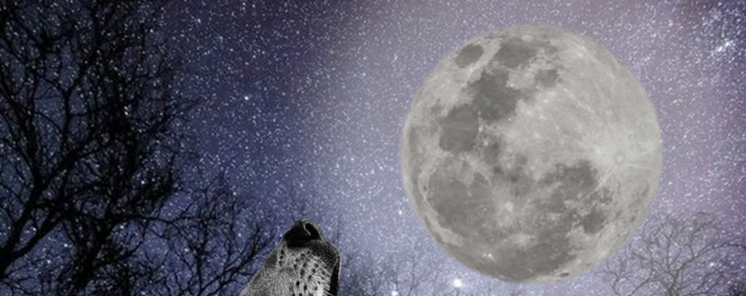 Los mejores eventos astronmicos en Enero 2024