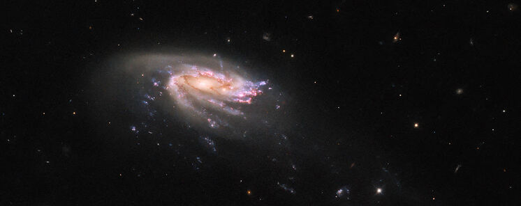 Hubble observa una criatura marina csmica 
