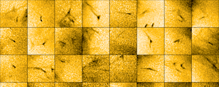 Solar Orbiter descubre lo que podra alimentar al viento solar 
