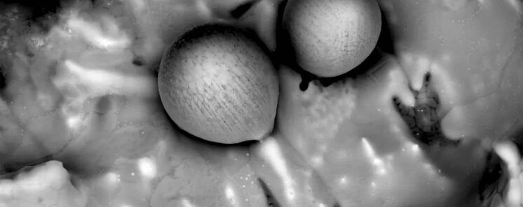 Confirman el origen interestelar de las misteriosas esfrulas halladas en el Pacfico