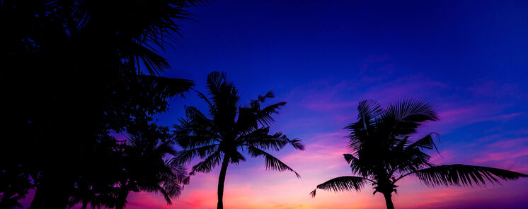 Naturaleza Biodiversidad y Estrellas Todo lo que puedes encontrar en Hait  