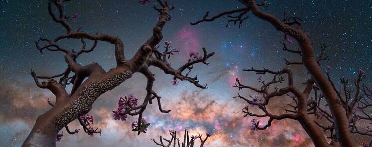 Dnde ver la Va Lctea este invierno en Latinoamrica y Europa gua para astrocuriosos