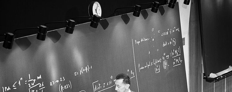 Diez delfines reunidos en Halloween