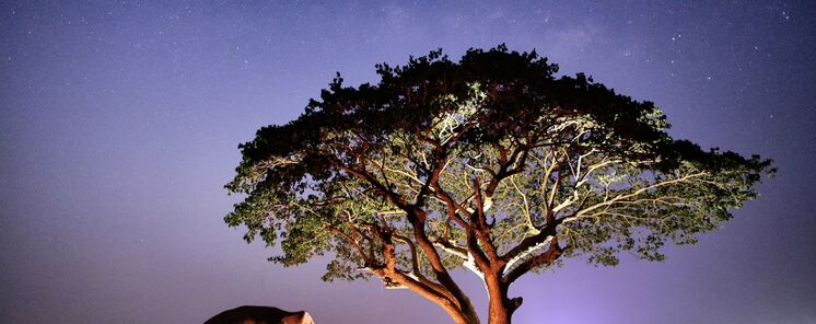 Samburu el cielo estrellado de Kenia que enamora a viajeros y comunidades locales