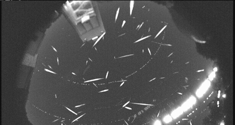 Geminidas 2025 dnde y cundo ver la lluvia de estrellas ms intensa del ao