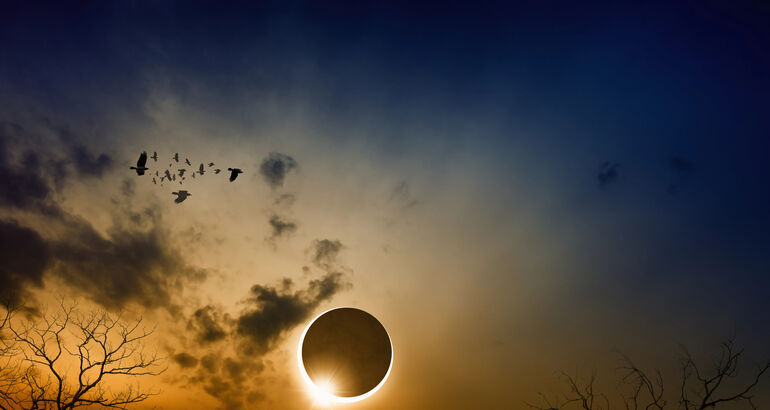 Cuando el Sol se apaga y la naturaleza habla as estudiar la ciencia el eclipse de 2026