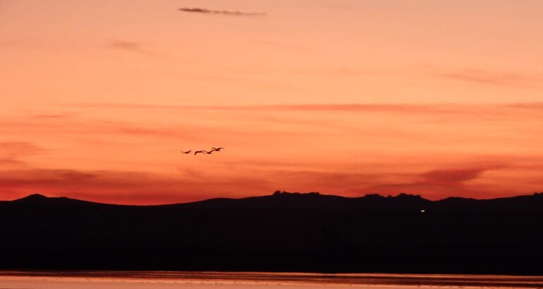 Laguna de Gallocanta uno de los mejores cielos esteparios para ver estrellas en Espaa