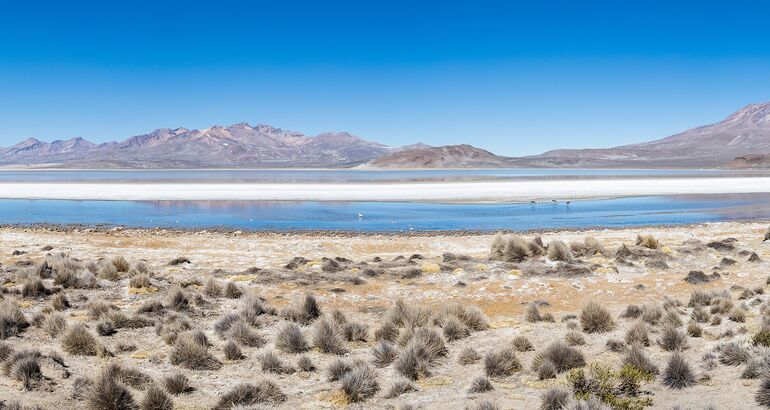 Salinas y Aguada Blanca el cielo andino de Per que conquista a los astrocuriosos