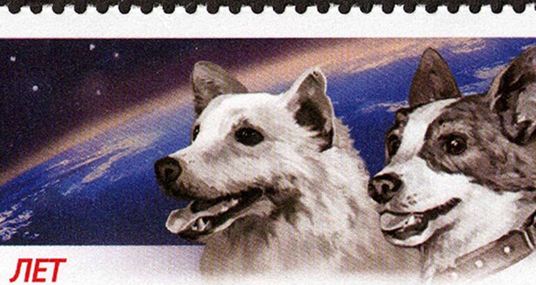 Belka y Strelka las dos perritas que viajaron al espacio y regresaron para contarlo