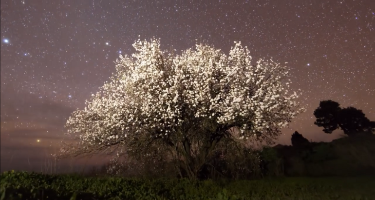 En Astroturismo se lleva La Palma