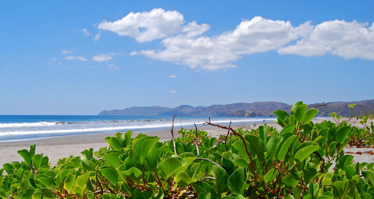 Ver las estrellas en Costa Rica Descubriendo el paraso en Guanacaste