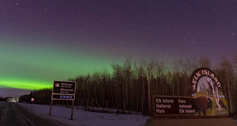 Siguiendo auroras boreales y bisontes en Canad